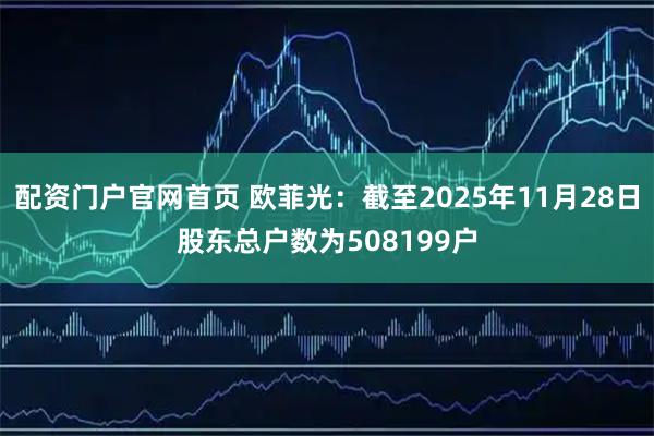 配资门户官网首页 欧菲光：截至2025年11月28日股东总户数为508199户